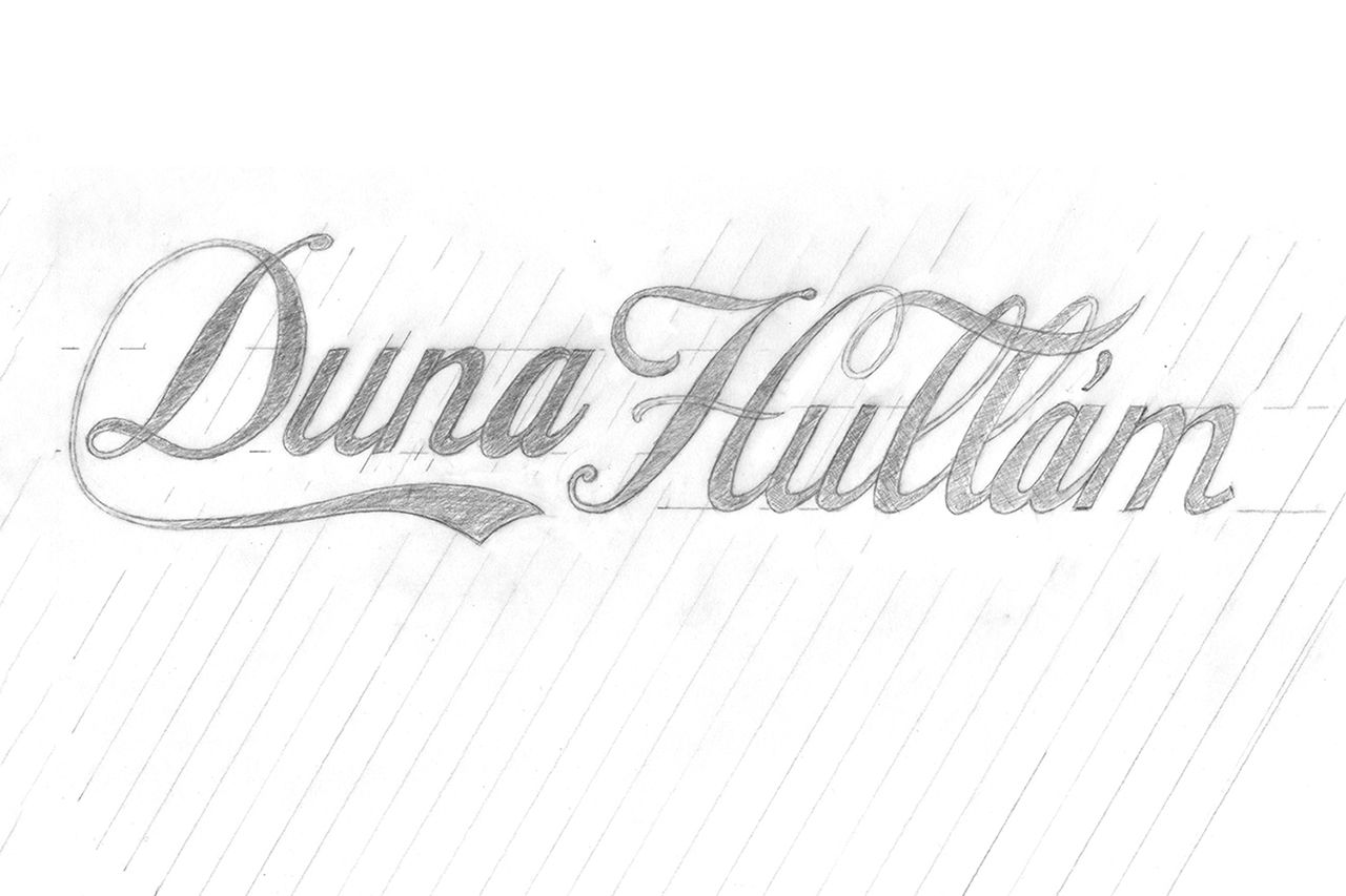 Lettering Danube Wave logo, sketch...